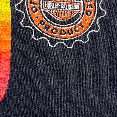 HARLEY DAVIDSON THE HOTTEST SOUND ON THE ROAD ENGINE EMBLEM FITS XL 9563