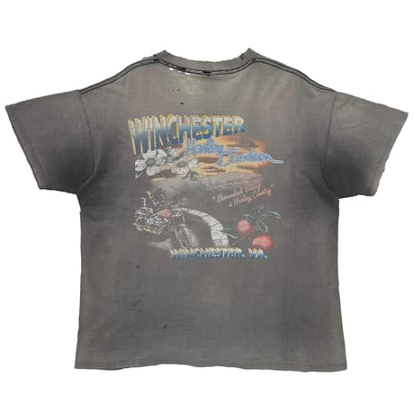 HARLEY DAVIDSON SPORTSTER POCKET WINCHESTER XL 6831