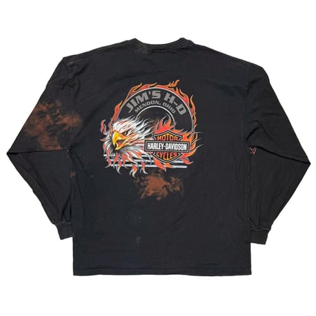 HARLEY DAVIDSON 2005 ARM FLAME LS XXL 4626