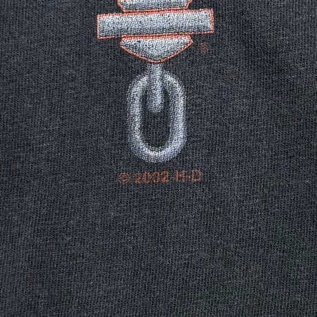 HARLEY DAVIDSON BIG EMBLEM ARM CHAIN PRINT 2001 TWIN STATES LS LARGE 3780