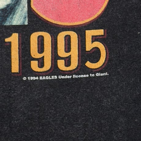 EAGLES HELL FREEZES OVER WORLD TOUR 1995 giant BY TULTEX LARGE 6174