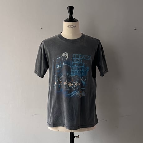 FADE is BEAUTIFUL [No.7]  HARLEY DAVIDSON LEGENS LIVE WHERE LEGENDS ROAM LARGE 6675
