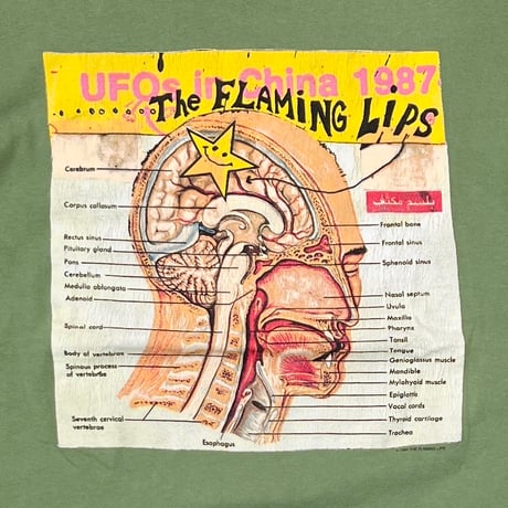 FLAMING LIPS UFOs in China 1987 SAGE GREEN GIANT BY TEE JAYS XL 6498