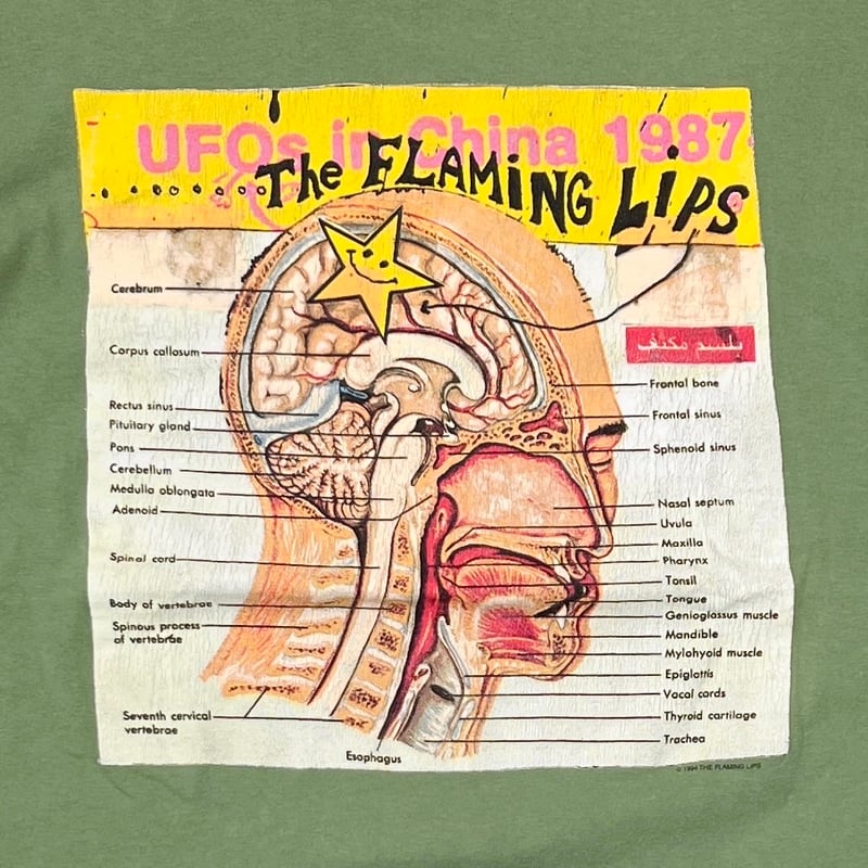 【激レア】FLAMING LIPS 1994年ライブポスター オリジナル maxresdefault.jpg?sqp=-