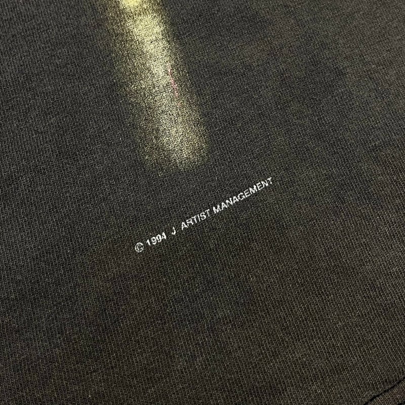 NINE INCH NAILS THE DOWNWARD SPIRAL SHREDDER LE