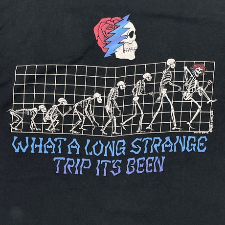 GRATEFUL DEAD 1993 WHAT A LOMG STRANGE TRIP IT'S BEEN LIQUID BLUE LARGE 3204