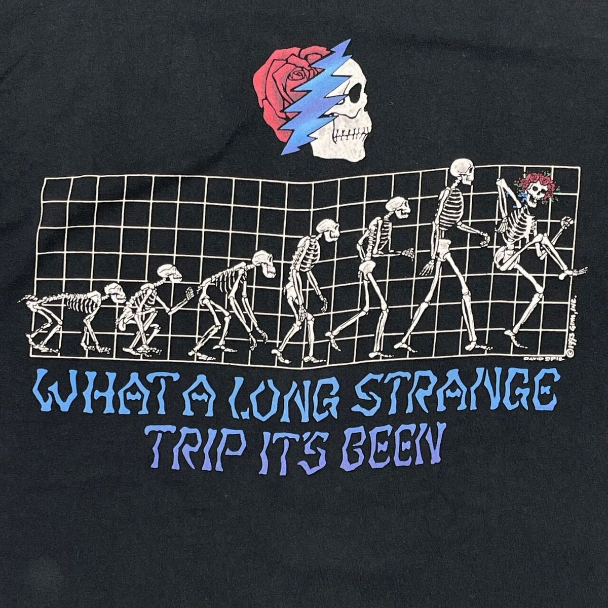GRATEFUL DEAD 1993 WHAT A LOMG STRANGE TRIP IT'