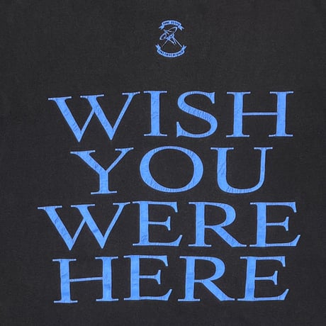 PINK FLOYD WISH YOU WERE HERE BROCKUM LARGE 9611