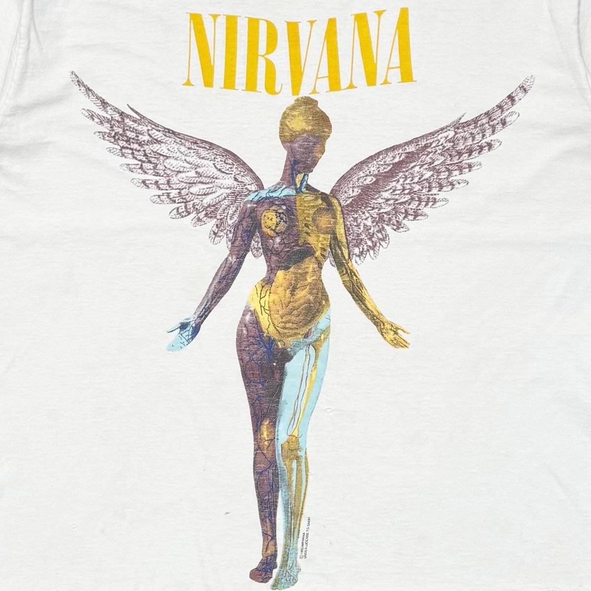NIRVANA IN UTERO GIANT BY ANVIL XL 2343 | great