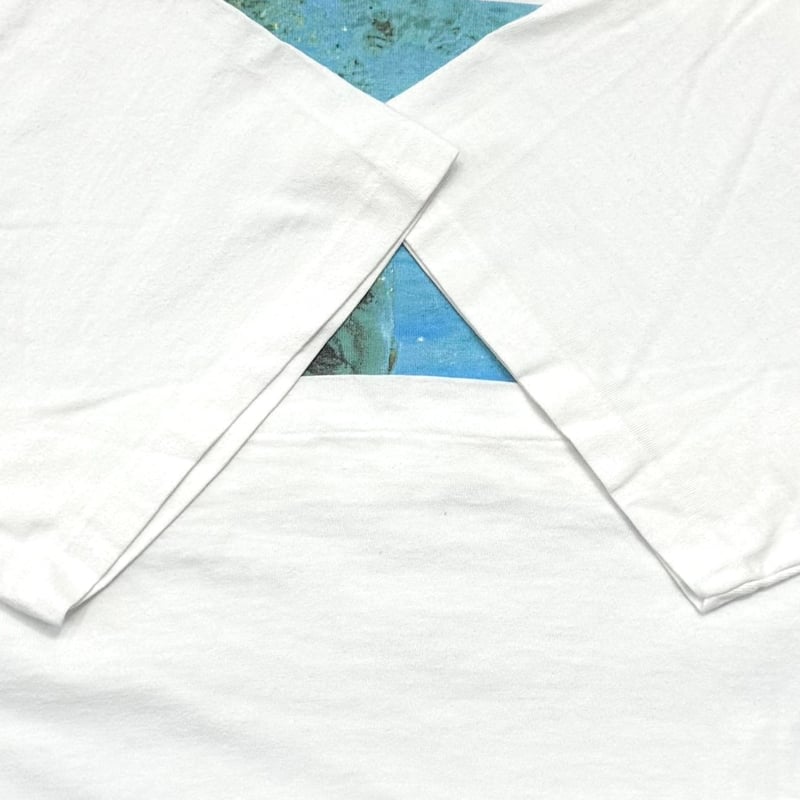 NIRVANA NEVERMIND FITS XL 9403 | greatLAnd OSAKA