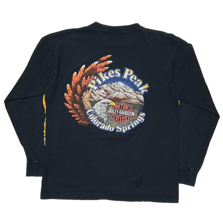 HARLEY DAVIDSON 1991 EAGLE FLAME COLORADO LS LARGE 5961