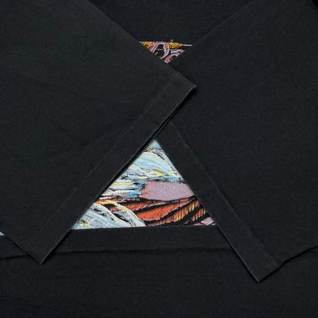 HARLEY DAVIDSON	PAINTTING RIDER PAUL SMITH BLACK LARGE 5453