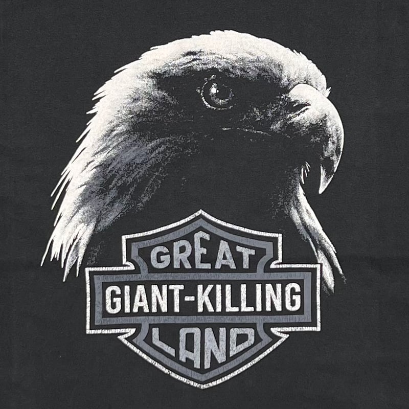 greatLAnd ORIGINAL KIMERA HD LS × ONEITA 5YEARS