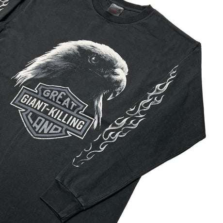 greatLAnd ORIGINAL KIMERA HD LS × ONEITA 5YEARS