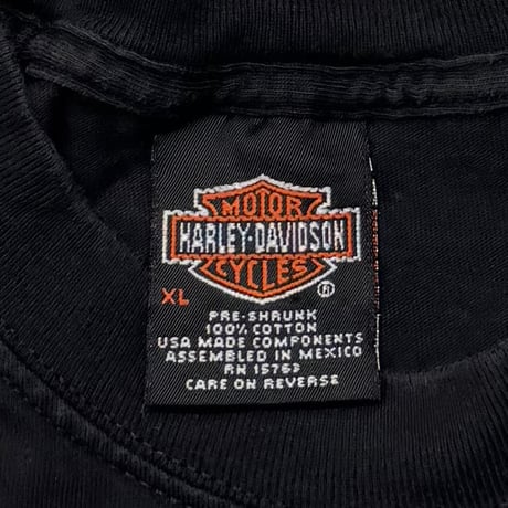 HARLEY DAVIDSON 2001 FRONT BLACK FLAME MISSISSIPPI COAST XL 1160