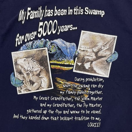 Budweiser CHAMELEON 1999 LETTERS&PHOTOS NAVY DELTA LARGE 0358