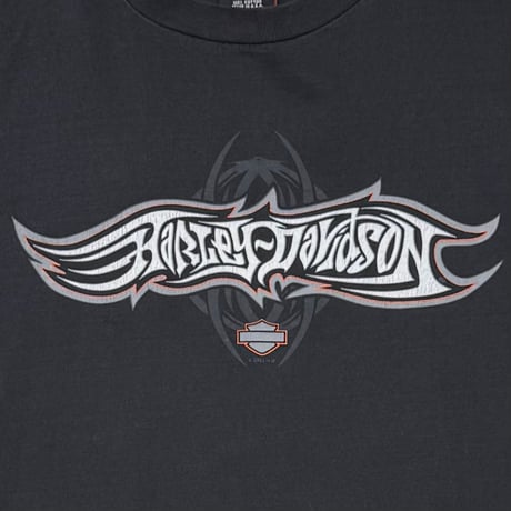 HARLEY DAVIDSON SPIDER LS OCALA FLORIDA XL 9124