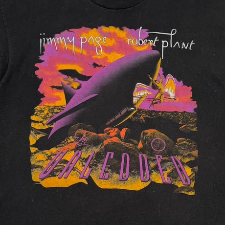 LED ZEPPELIN JIMMY PAGE & ROBERT PLANT UNITED STATES OF AMERICA 1995 FRUIT OF THE LOOM XL 5265
