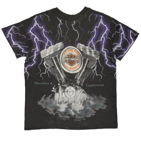 HARLEY DAVIDSON THUNDER & LIGHTNING OVP FITS XL 9413