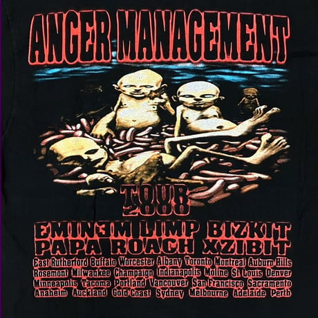 LIMP BIZKIT ANGER MANAGEMENT TOUR 2000 EMINEM PAPA ROACH FRUIT OF THE LOOM LARGE 8981