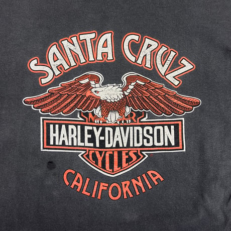 HARLEY DAVIDSON 2000 FLAME EAGLE LS SANTA CRUZ HANES LARGE 2253