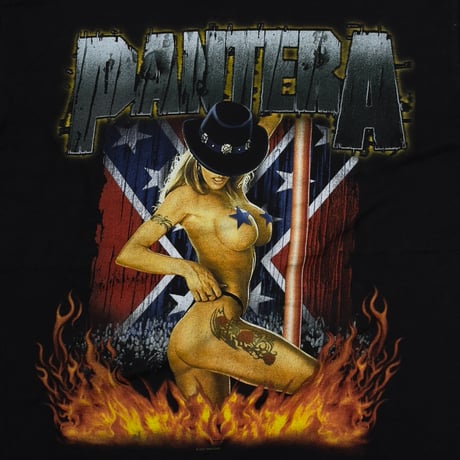 PANTERA REINVENTING FLAMING NAKED GIRL 2001 BG XL 3599
