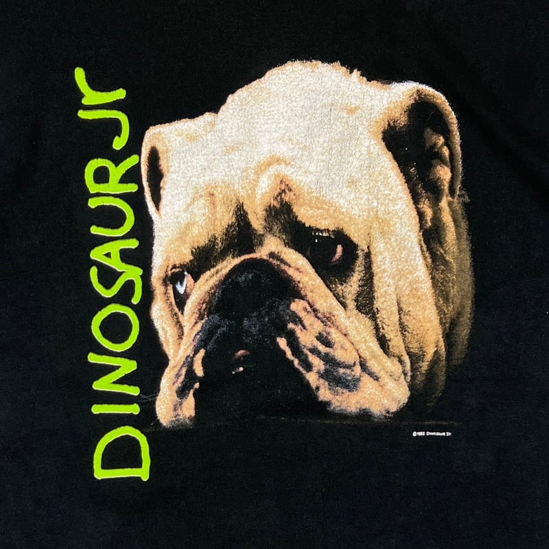 DINOSAUR Jr Whatever's Cool with Me DOG FRUIT O