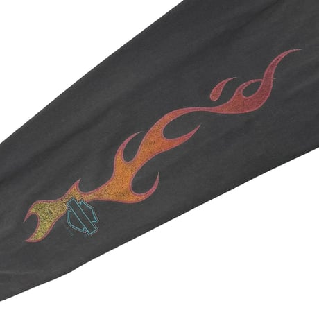 HARLEY DAVIDSON FLAME TAKE A RIDE IN THE COUNTRY ORWIGSBURG LS FADE XL 4282
