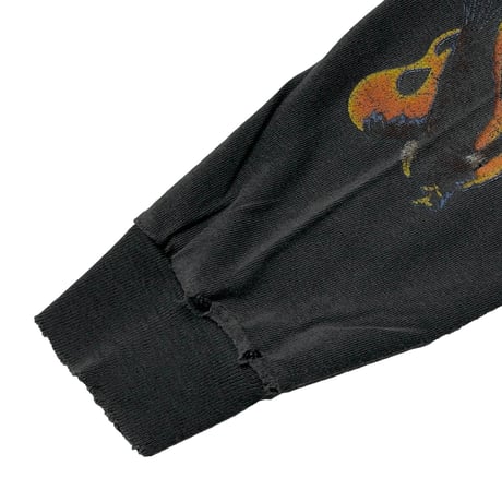 HARLEY DAVIDSON	EAGLE FLAMING CYCLECITY LTD HONOLULU HAWAII LS XL 8732
