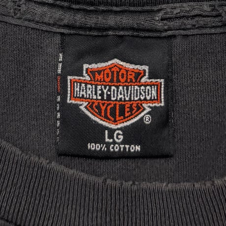 HARLEY DAVIDSON DALLAS TEXAS UNTAMED TIGER FLAME LS LARGE 8948