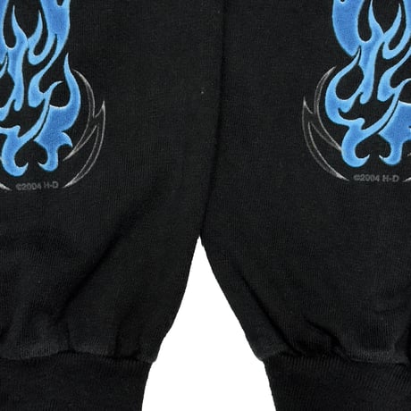 HARLEY DAVIDSON 2004 BLUE FLAME SKULL LS LARGE 8722