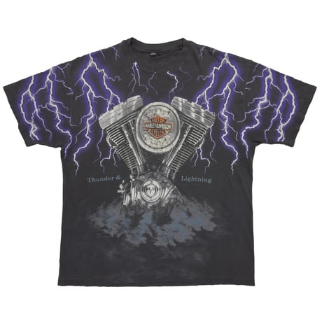 HARLEY DAVIDSON THUNDER & LIGHTNING OVP FITS XL 9100