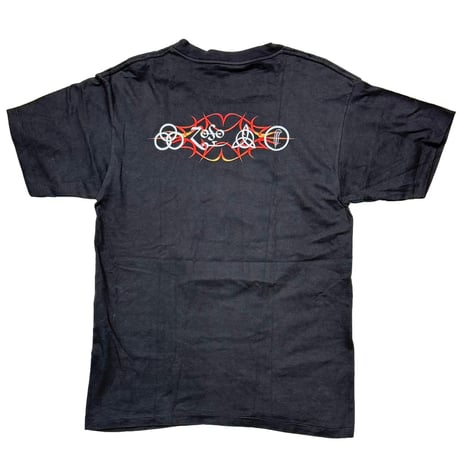 LED ZEPPELIN 1995 DRAGON WINTERLAND LARGE 8866