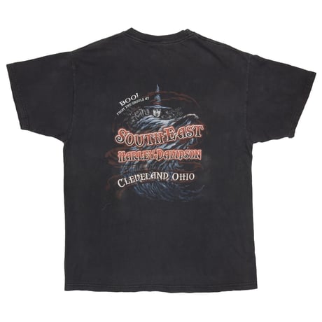 HARLEY DAVIDSON FLAME EAGLE WITCH BOO LARGE 0772