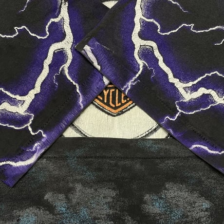 HARLEY DAVIDSON THUNDER & LIGHTNING FITS LARGE 8238
