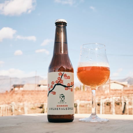 超完熟南高梅2025~Golden Ale~