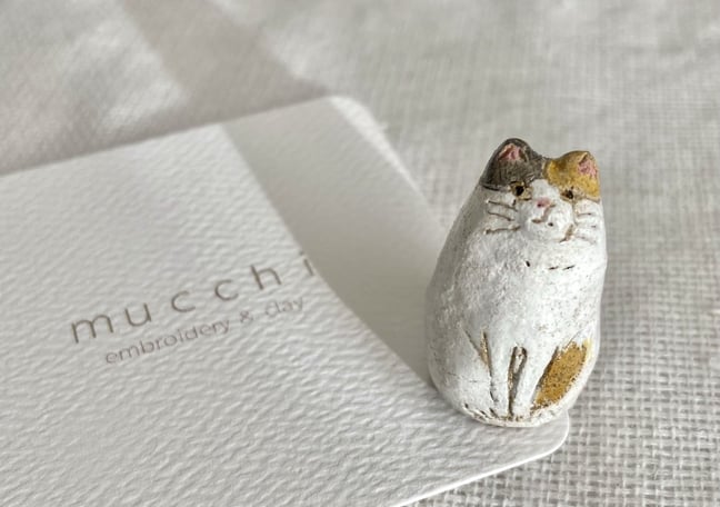 mucchi