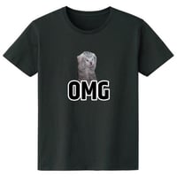 OMG猫ミーム