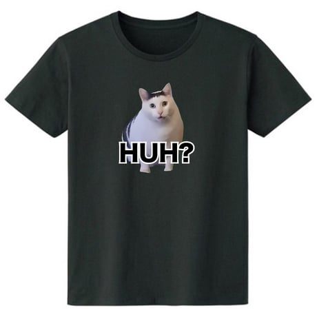 はぁ？猫ミーム
