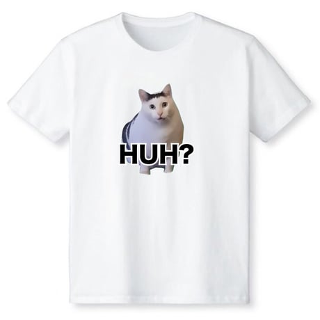 はぁ？猫ミーム