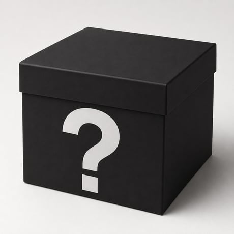 洋服現代資本主義者専門謎BOX