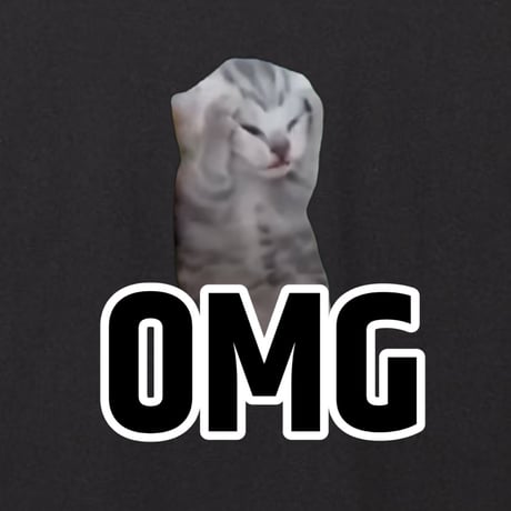 OMG猫ミーム