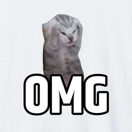 OMG猫ミーム