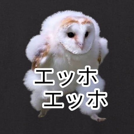 エッホエッホ