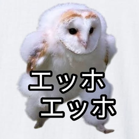エッホエッホ