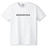 BAIGAECIDA（倍返しだ！）