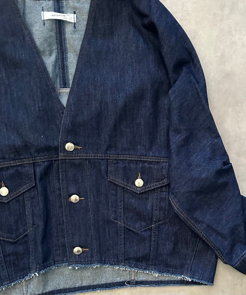 ANTGAUGE】VネックGジャン | nouvergine