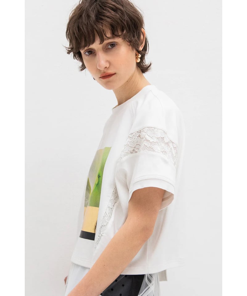 AULA AILA】AMMONITE PRINT T-SHIRT | nouvergine