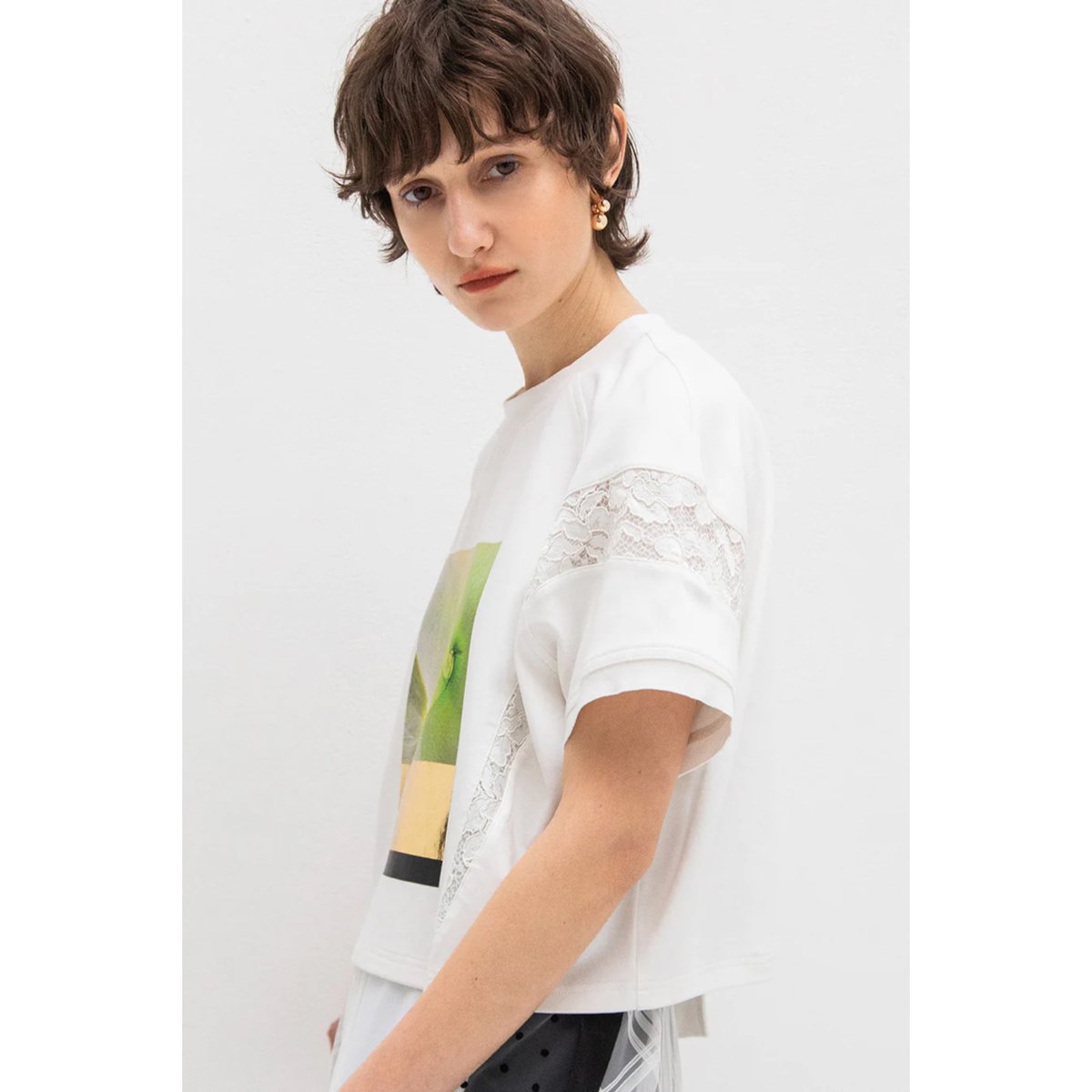 新品 AULA AILA アウラアイラ アンモナイトプリントTシャツ AULA AILA tシャツ アンモナイトプリントTシャツ レディース
