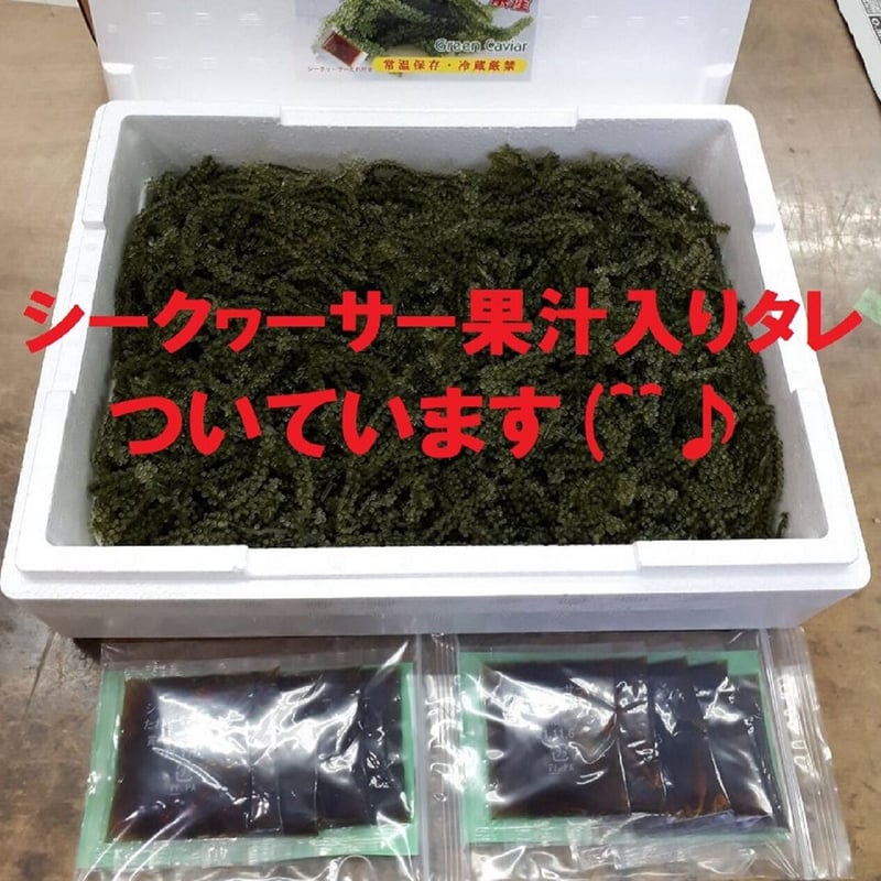 茎なしA級品 生！海ぶどう おまとめ中箱５００ｇ（シークヮーサー果汁